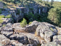 2021-06-05 e 6 FORMEX 1